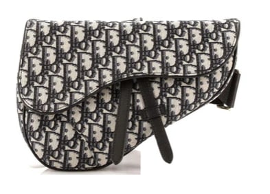 Christian Dior Saddle Crossbody Bag Oblique Canvas