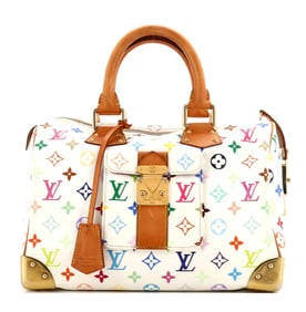 Louis Vuitton Speedy Handbag Monogram Multicolor 30