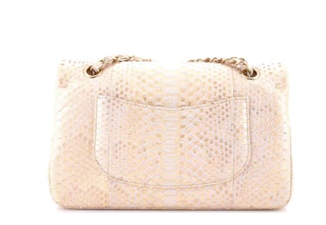 Chanel Classic Double Flap Bag Python Medium - 3