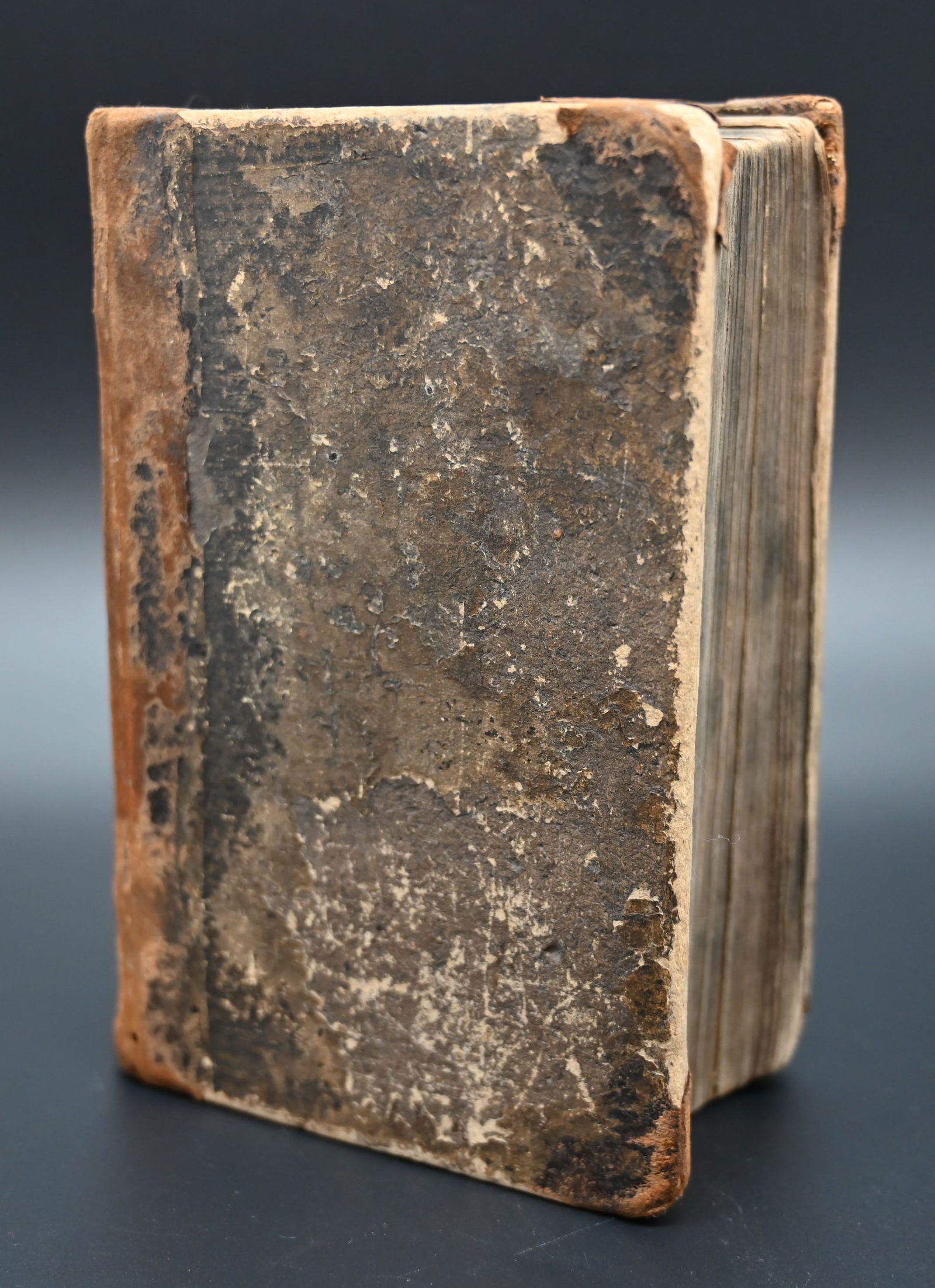 Die Bibel von Martin Luther 1850: Die Bibel von Martin Luther 1850 Die Bibel oder die ganze heilige Schrift des alten und neuen Testaments nach Dr. Martin Luthers ÜbersetzungNordhausen 1850Karton Einband eingebunden in