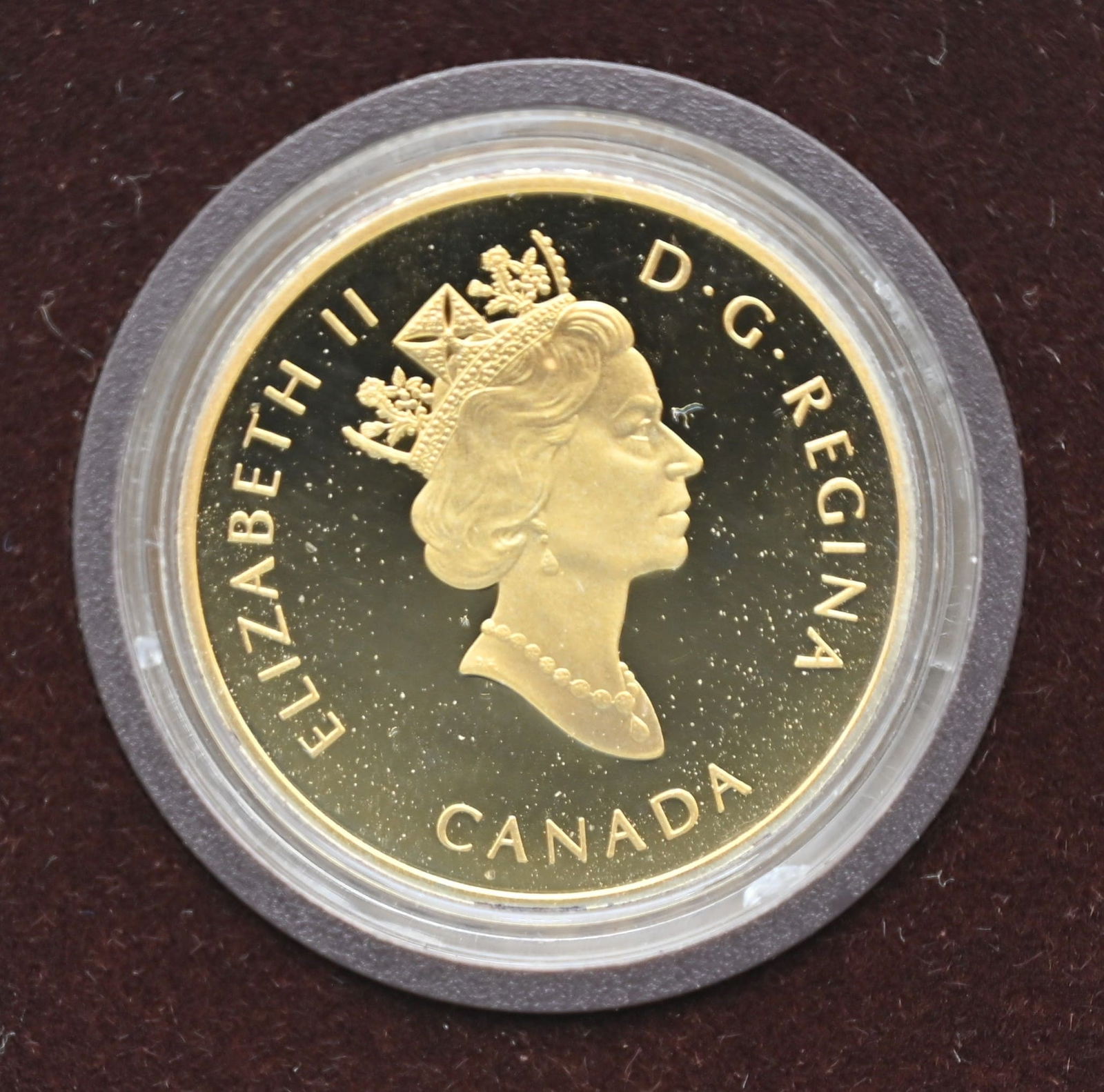 Kanada 100 Dollar aus dem Jahr 1996 Goldmünze - 2