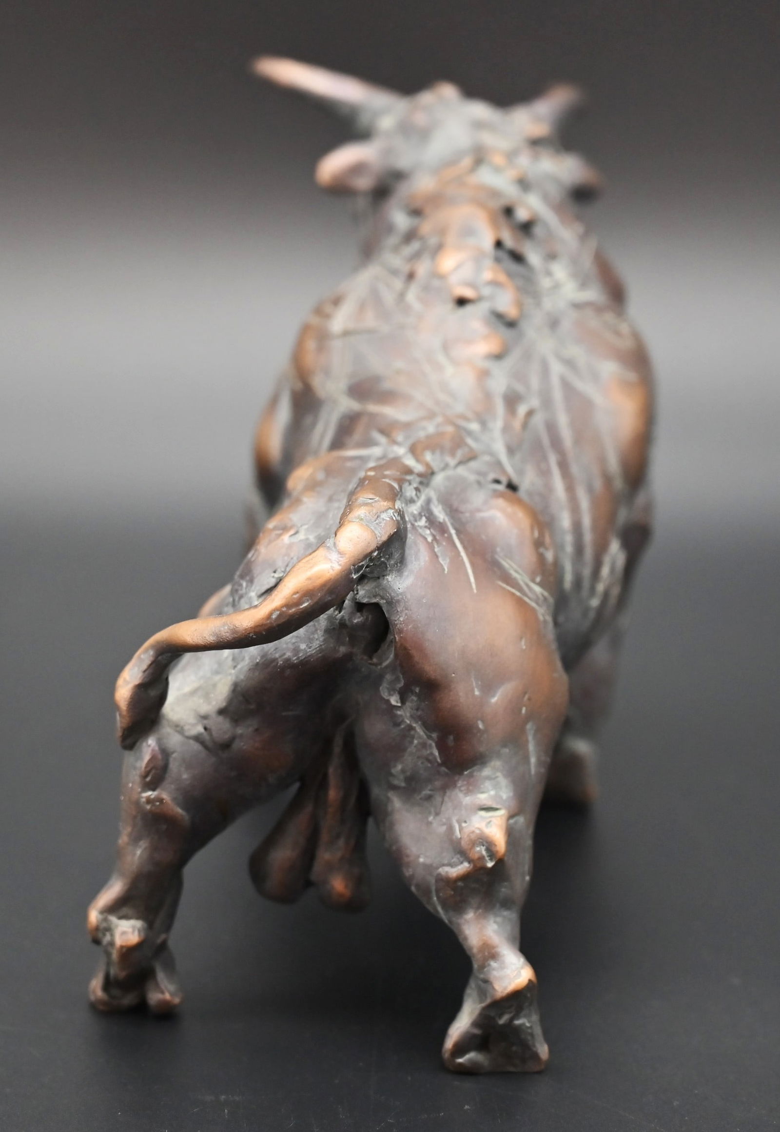 Waldemar Schröder (1950) - Stolzer Stier - 5