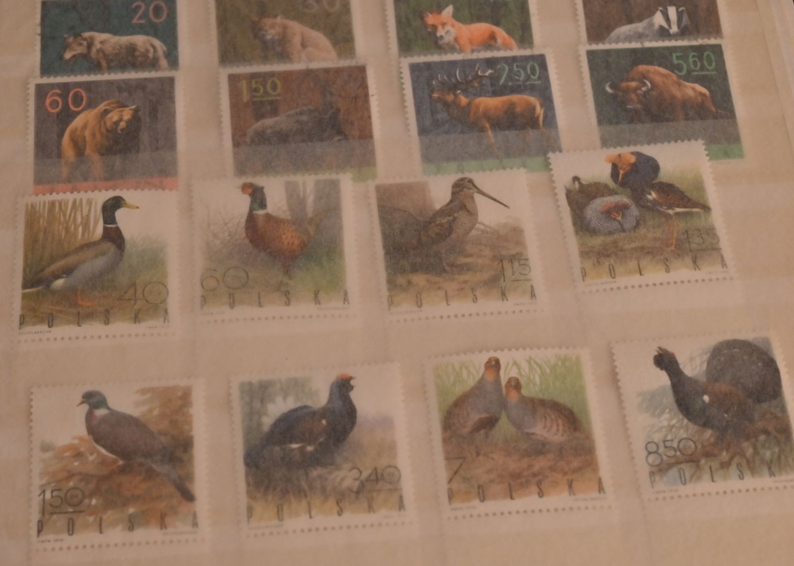 Briefmarken Sammlung - 17