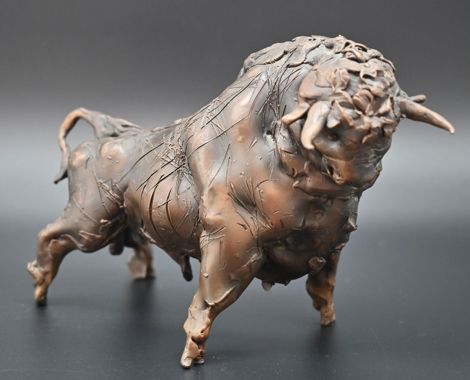 Waldemar Schröder (1950) - Stier (1 of 6)