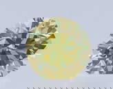 Loose Diamond - ROUND 1.31ct Fancy Brownish Greenish Yellow VS2