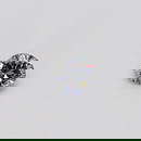 Loose Diamond - ROUND 0.11ct Very Light  Gray VS2
