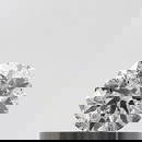 Loose Diamond - ROUND 0.29ct Salt and Pepper VVS1