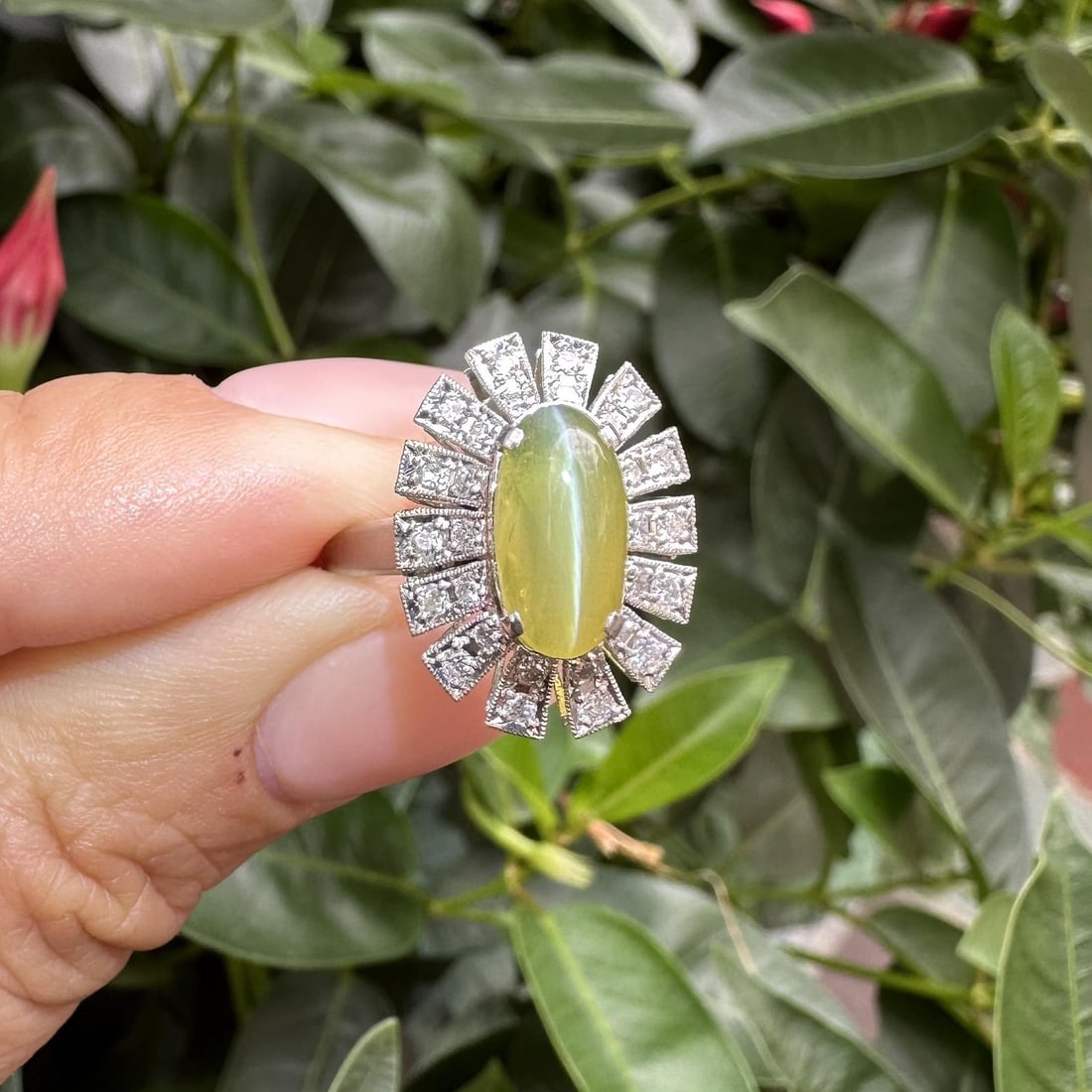 Vintage Platinum 3.09ctw Cat's Eye Oval Ring with Diamond Halo: Vintage Platinum 3.09ctw Cat's Eye Oval Ring with Diamond Halo This stunning vintage ring showcases a beautiful natural cat's eye stone, featuring a long oval cabochon cut with a captivating milk and