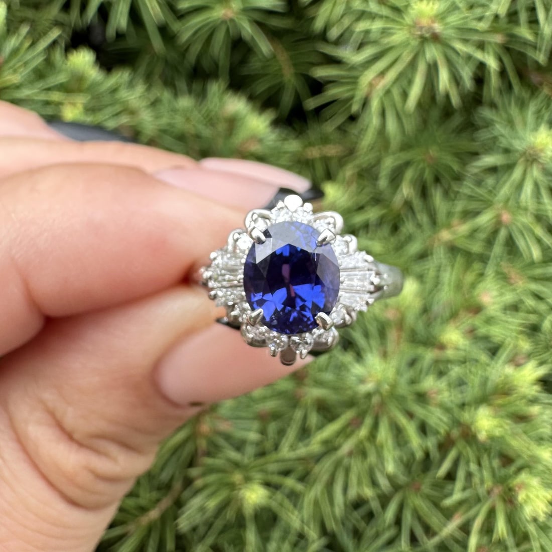 Platinum GIA 3.42ctw No Heat Color Change Sapphire Ring with Diamond Halo: Platinum GIA 3.42ctw No Heat Color Change Sapphire Ring with Diamond Halo This stunning cocktail ring features a natural, genuine Ceylon sapphire that displays a captivating color change from violet t
