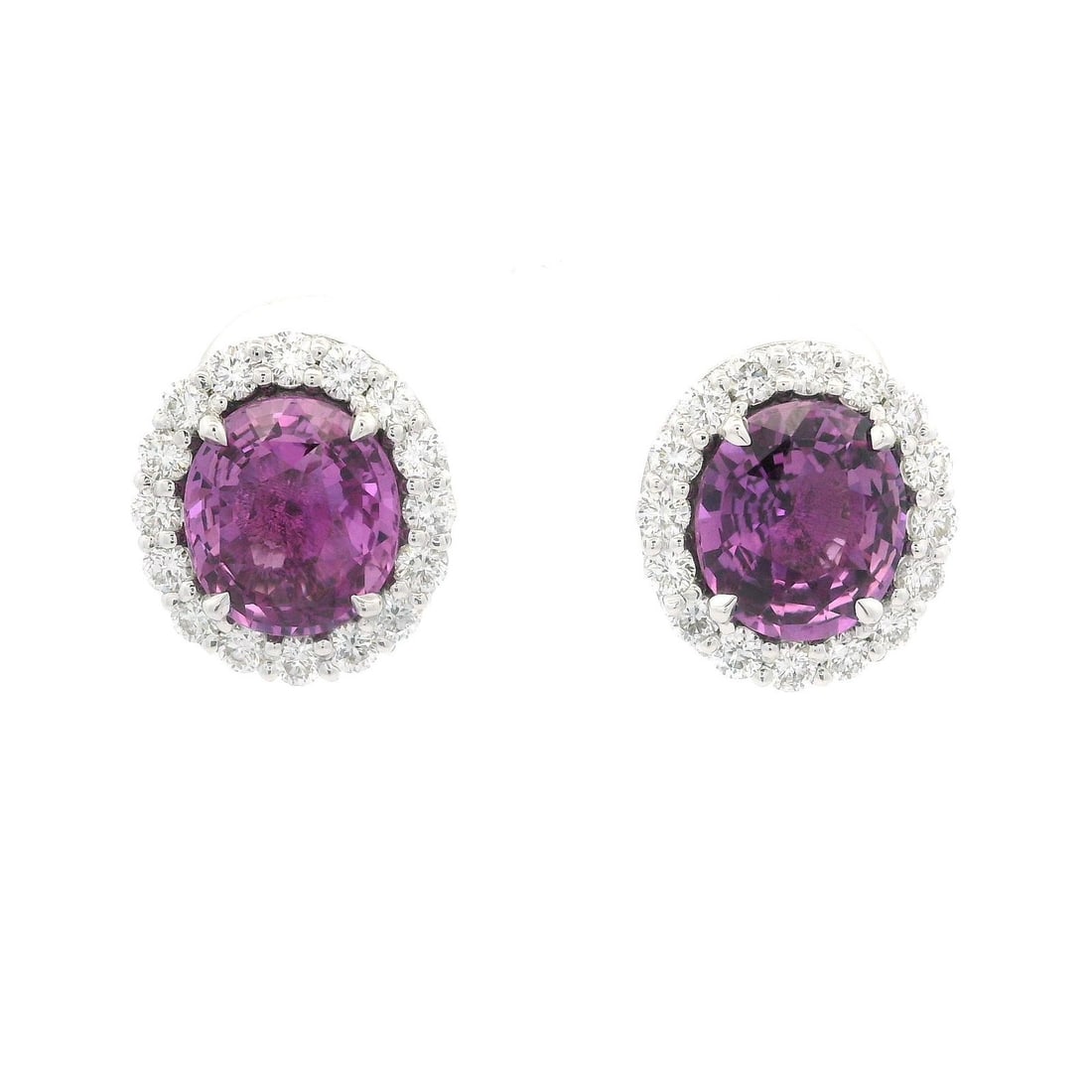 GIA Certified 4.75ct Oval Pink Sapphire Diamond Halo Studs in White Gold: GIA Certified 4.75ct Oval Pink Sapphire Diamond Halo Studs in White Gold These stunning stud earrings feature a pair of natural oval pink sapphires, each beautifully prong set and radiating a lovely p