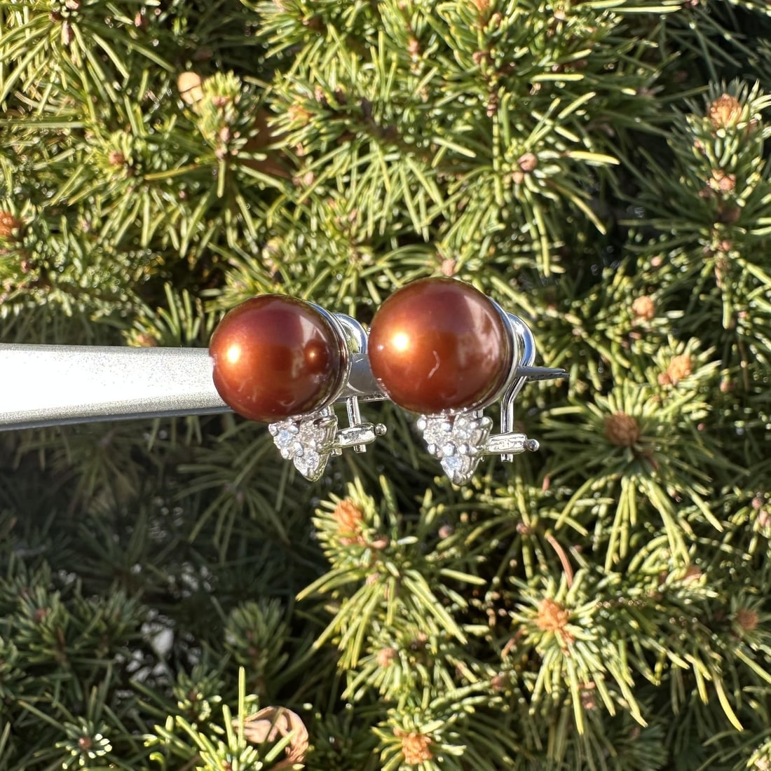 Omega 14k White Gold Chocolate Brown Pearl Diamond Earrings: Omega 14k White Gold Chocolate Brown Pearl Diamond Earrings Elevate your elegance with these stunning 14k White Gold Earrings featuring exquisite chocolate brown pearls and sparkling diamonds. Each ea