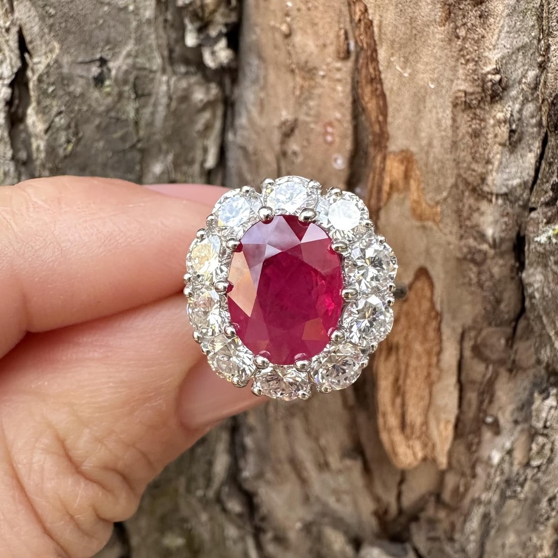 GIA Certified 6.45ct Platinum Burma Ruby Diamond Halo Ring: GIA Certified 6.45ct Platinum Burma Ruby Diamond Halo Ring This exquisite cocktail ring showcases a stunning natural Burma ruby, weighing 4.05 carats, set in a substantial platinum band. The ruby is a