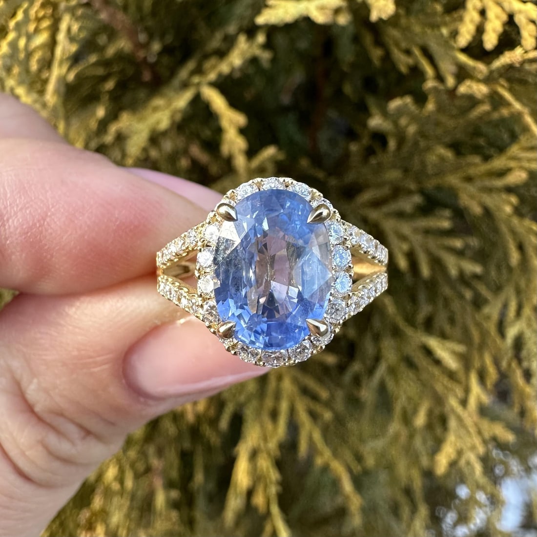 GIA Certified 18k Gold Split Shank Ring With Ceylon No Heat Sapphire and Diamonds: GIA Certified 18k Gold Split Shank Ring With Ceylon No Heat Sapphire and Diamonds This cocktail ring features a 4.05 carat natural, no-heat Ceylon oval sapphire certified by GIA, set in solid 18k yell