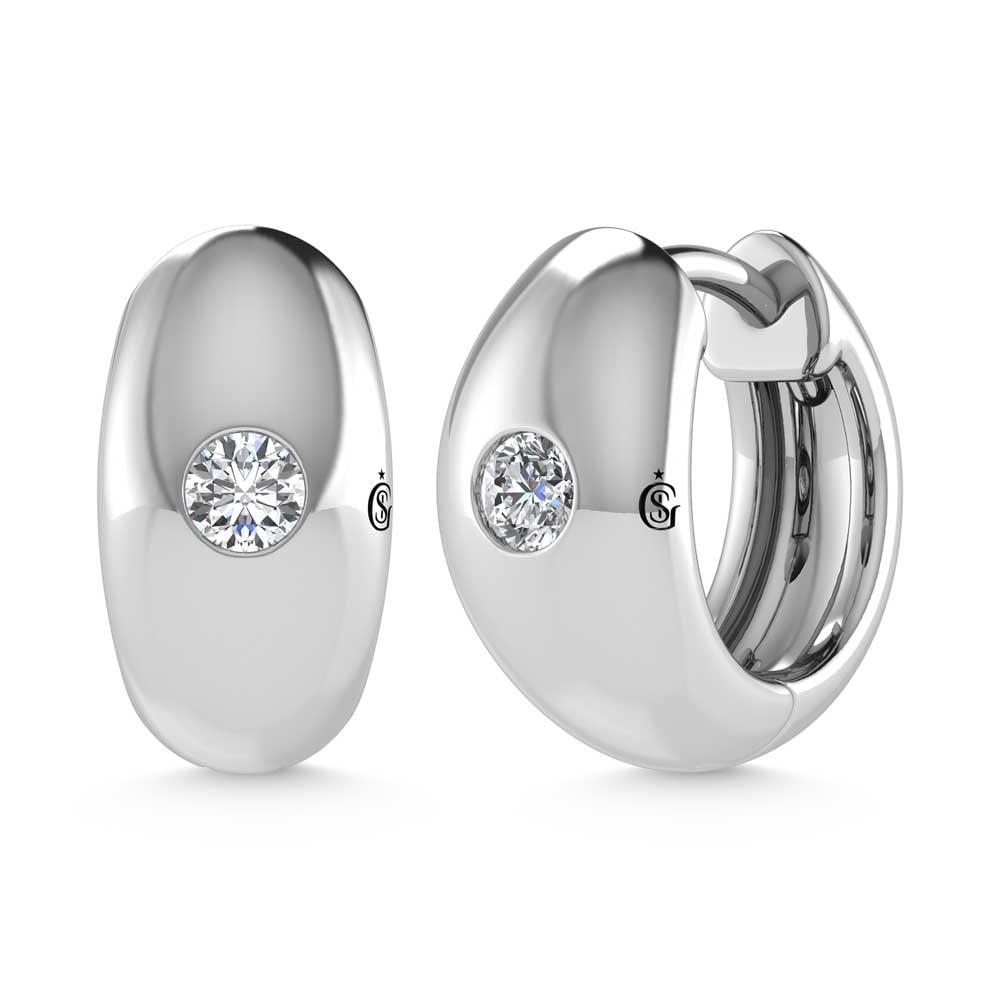 14K White Gold Diamond 1/4 Ct.Tw. Flush Setting High Polish Hoop Earrings: 14K White Gold Diamond 1/4 Ct.Tw. Flush Setting High Polish Hoop Earrings 14k White Gold Stone Color: G-h Stone Clarity: Si2 The Diamond Depot Guarantee: All items in this auction are guaranteed to be