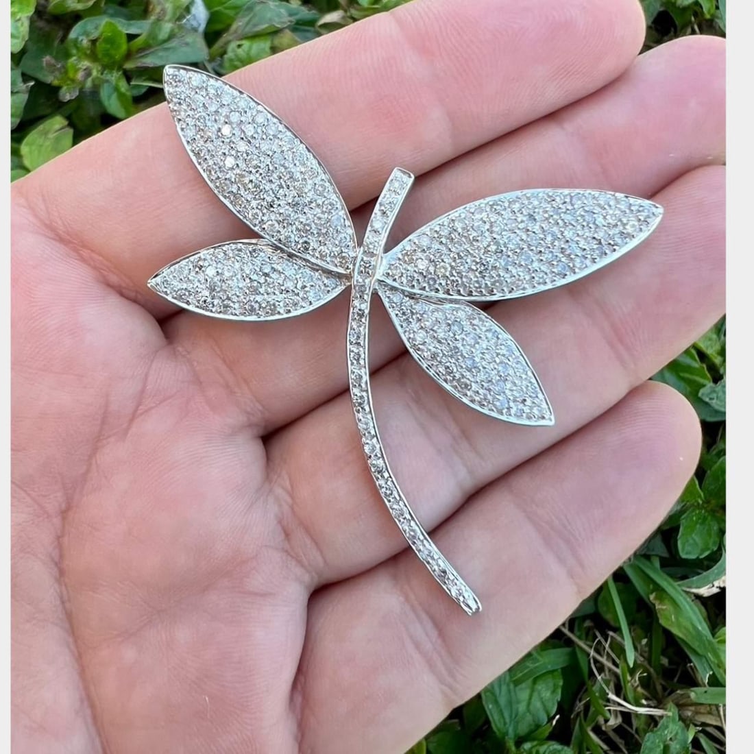 18K White Gold Dragonfly Brooch with 3.00 Ct Diamonds: 18K White Gold Dragonfly Brooch with 3.00 Ct Diamonds This exquisite dragonfly brooch is crafted from 18K white gold and weighs 12.5 grams. It features an impressive array of 200 diamonds with a total
