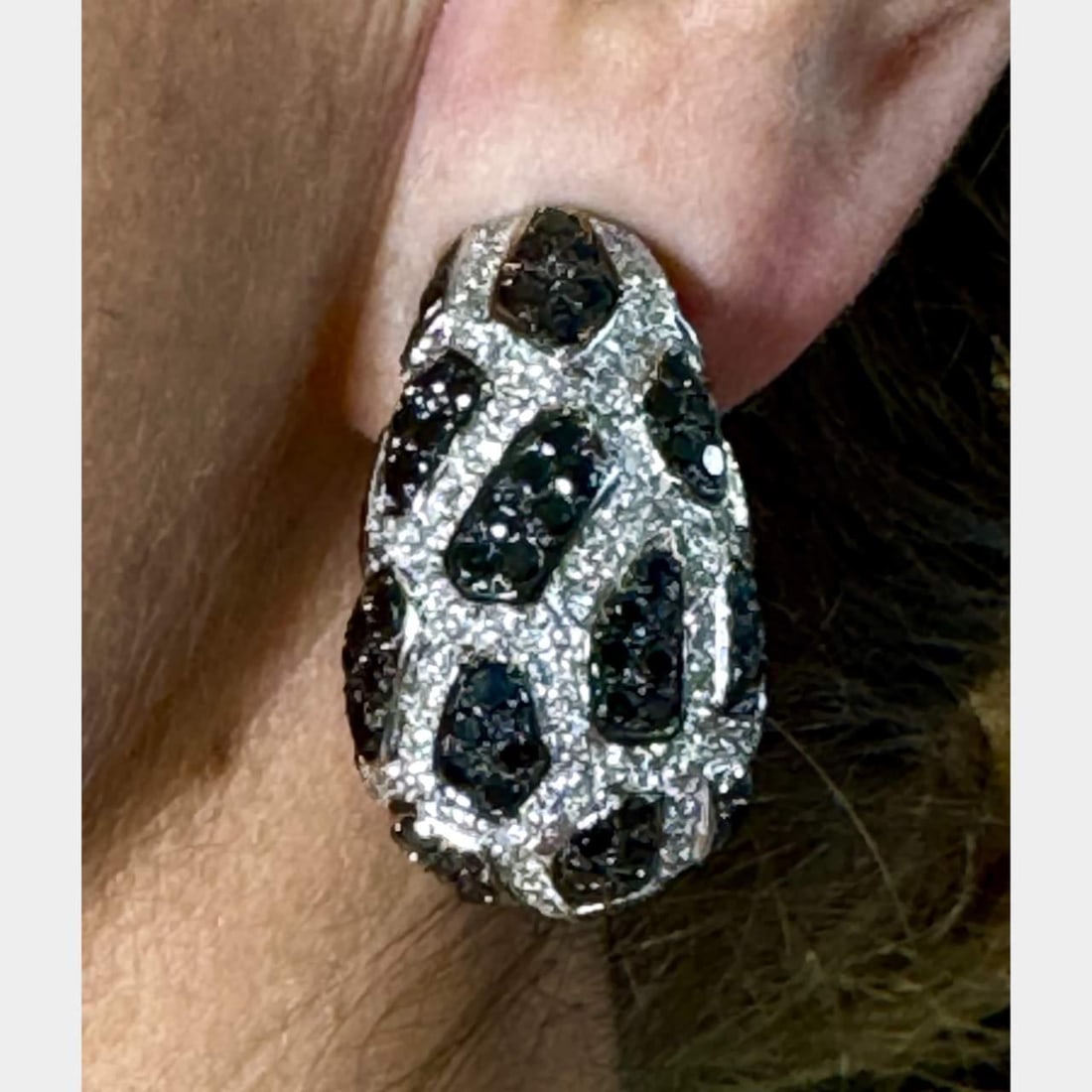 18K White Gold Black and White Diamond Earrings 12.00 Ct: 18K White Gold Black and White Diamond Earrings 12.00 Ct These exquisite earrings are crafted from 18K white gold and feature a stunning combination of black and white diamonds. The earrings weigh