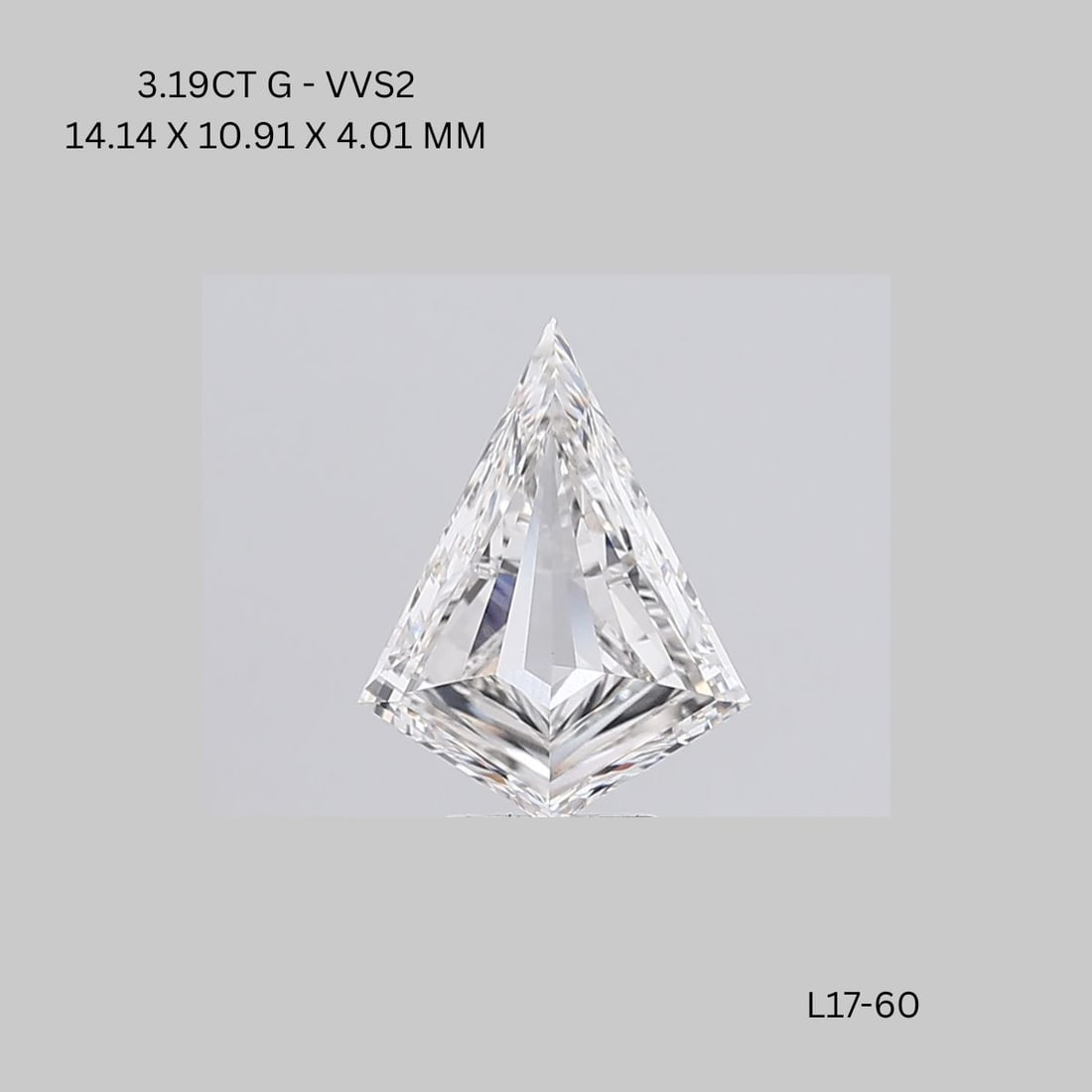Loose Diamond - KITE 3.19ct G VVS2 (1 of 1)