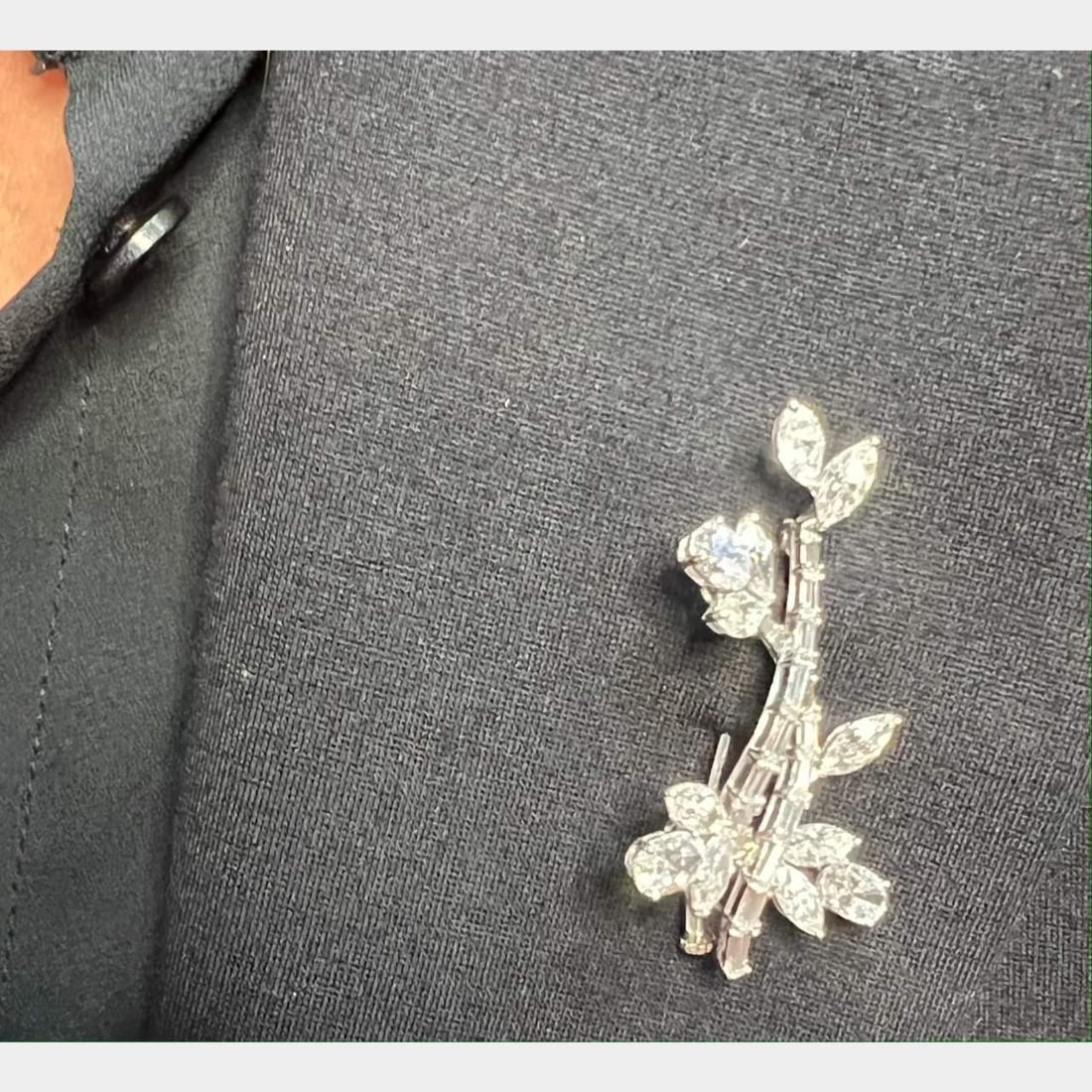 Exquisite Platinum Diamond Branch Brooch 29 Diamonds 2in Length D-E VVS-VS (1 of 2)