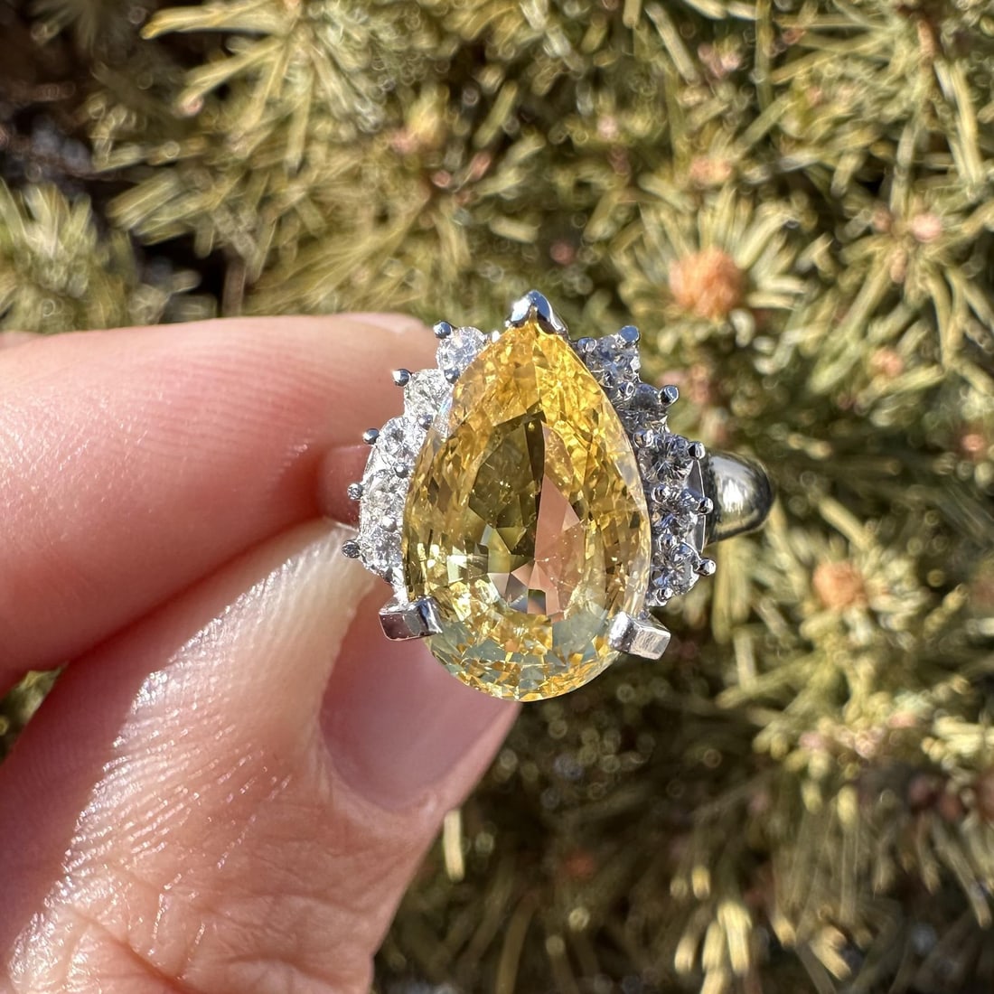 GIA Ceylon yellow sapphire diamond platinum cocktail ring: GIA Ceylon yellow sapphire diamond platinum cocktail ring This platinum cocktail ring features a natural, no-heat Ceylon yellow sapphire in a pear cut, weighing exactly 4.25 carats. The sapphire is co