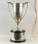 Gorham Sterling Charles Hayden Memorial Trophy