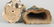 Two Asian Pottery Figures - 3