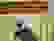 item-53527264=4