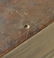 Federal Grain Painted Blanket Chest - 8