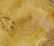 Group Of Early Kitchen & Hearth Items - 3
