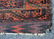 Turkoman Rug - 3