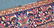 Persian Heriz Room Size Rug - 3