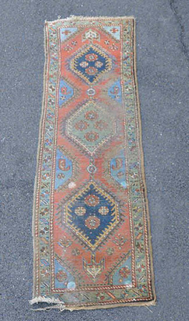 Caucasian Runner (1 of 5)