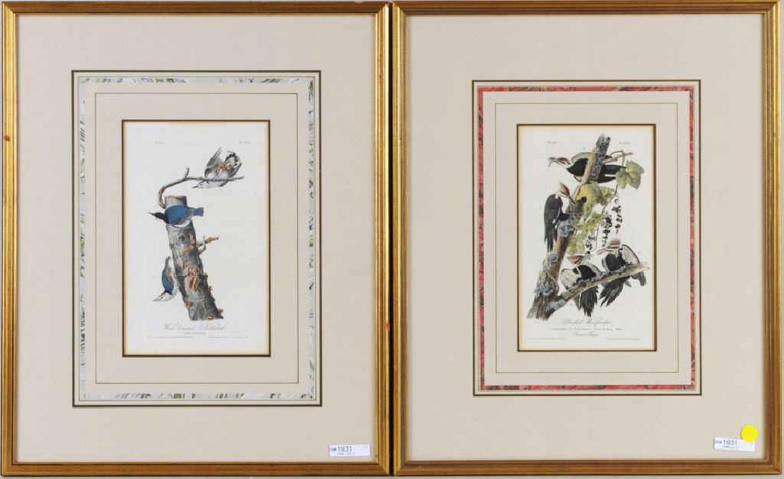 Two Audubon Octavo Bird Prints (1 of 4)