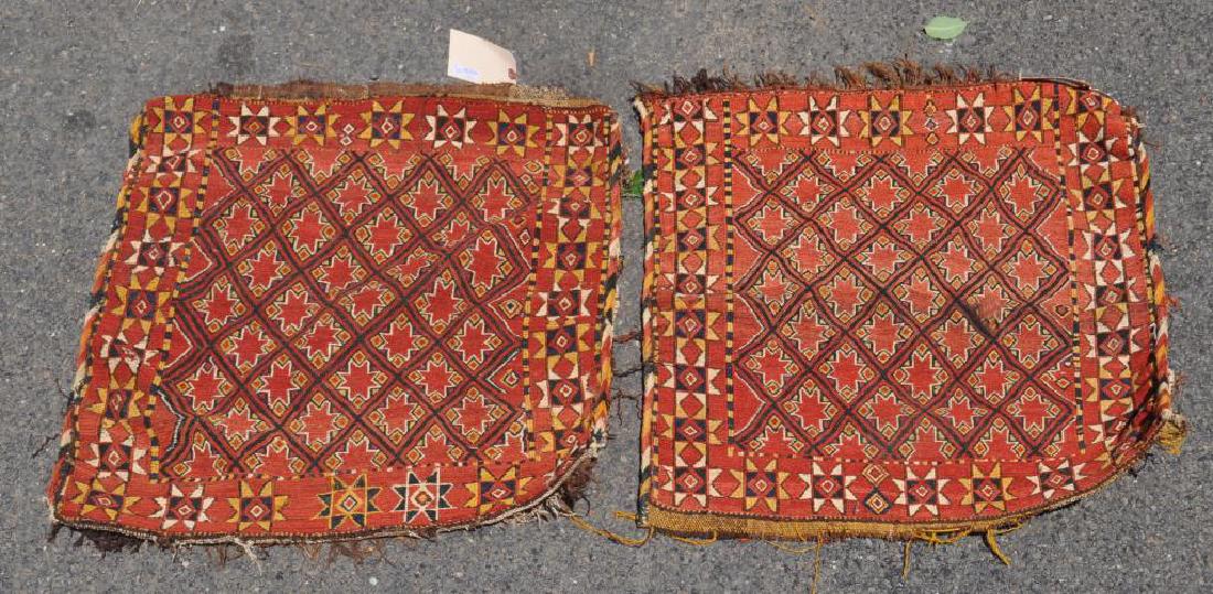 Pair Caucasian Bagfaces (1 of 5)