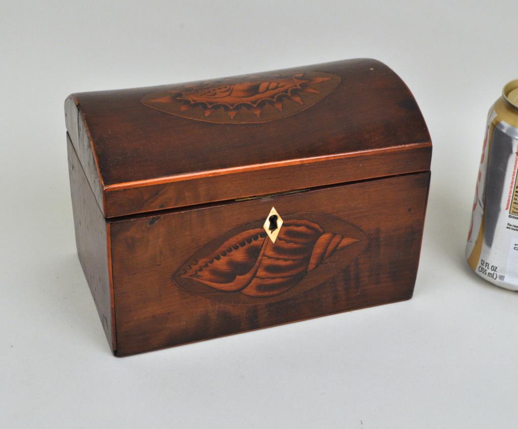 Georgian Whelk Inlaid Mahogany Tea Caddy (1 of 3)