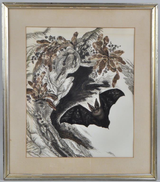 John MacKenzie, W/C On Paper "Bat": (Canadian/American, 20th c.),signed, framed, not examined out of frame. Frame size 23 3/4" high, 20 3/4" wide. Property of a Southbury CT Collector.