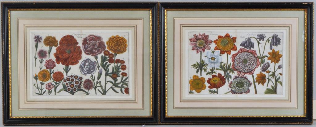 Two Early Framed Floral Engravings: F. Arena and Mario Cammareri. from La Natura e Cultura dei Fiori Fisicamente Esposta, Sicily, second half 18th century, with early hand coloring. 15" high, 19" wide. Not examined out of frames. Proven