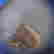 item-112181806=2
