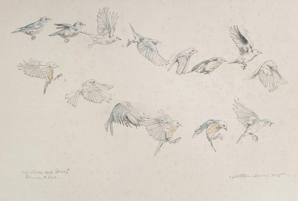 Kathleen David, "Bluebird in Motion" Study (1 of 5)