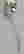 item-128163488=2