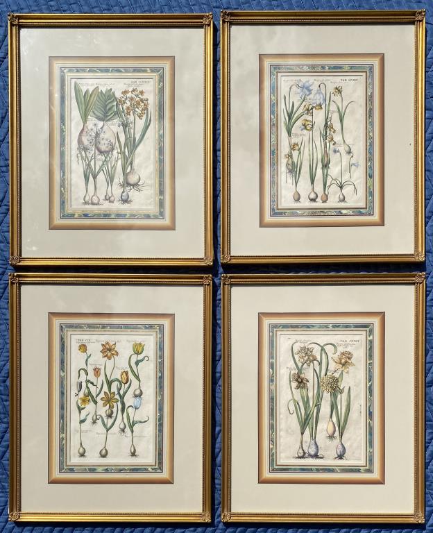 Group Four Botanical Engravings (1 of 8)