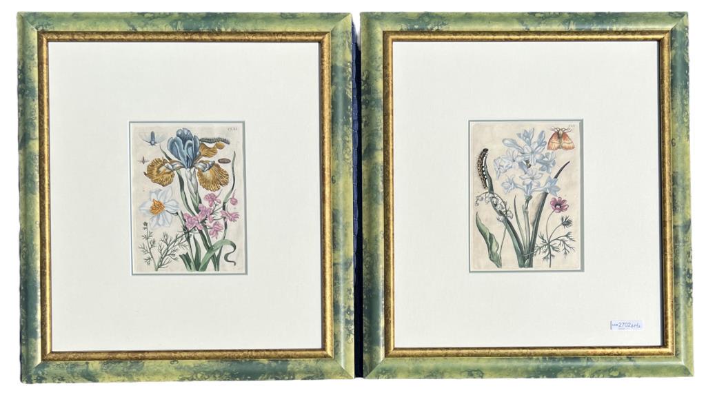 Pair Early Botanical Engravings (1 of 6)