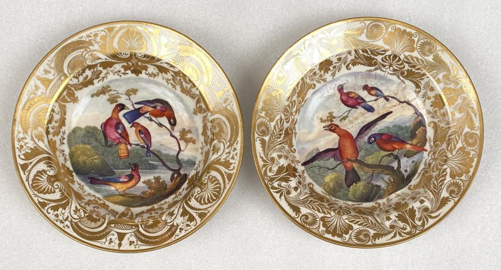 Pair Royal Crown Derby Ornithological Dishes (1 of 5)