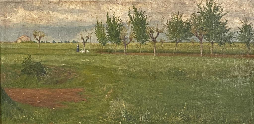 Pastoral Landscape Scene O/C, Dated 1903 (1 of 4)