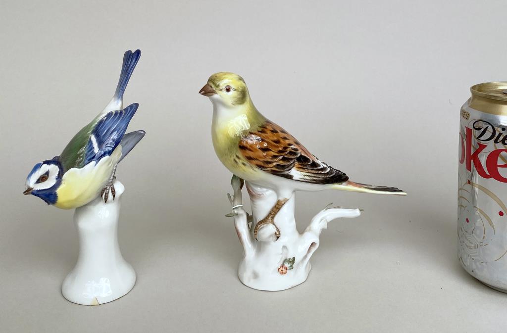 Pair German Meissen Porcelain Songbird Figures: with crossed swords mark. Larger: 5 1/4" high, 6" wide, 2 1/2" deep; smaller: 5 3/4" high, 4" wide, 2" deep. Both with chipped beaks, larger with chipped flowers.