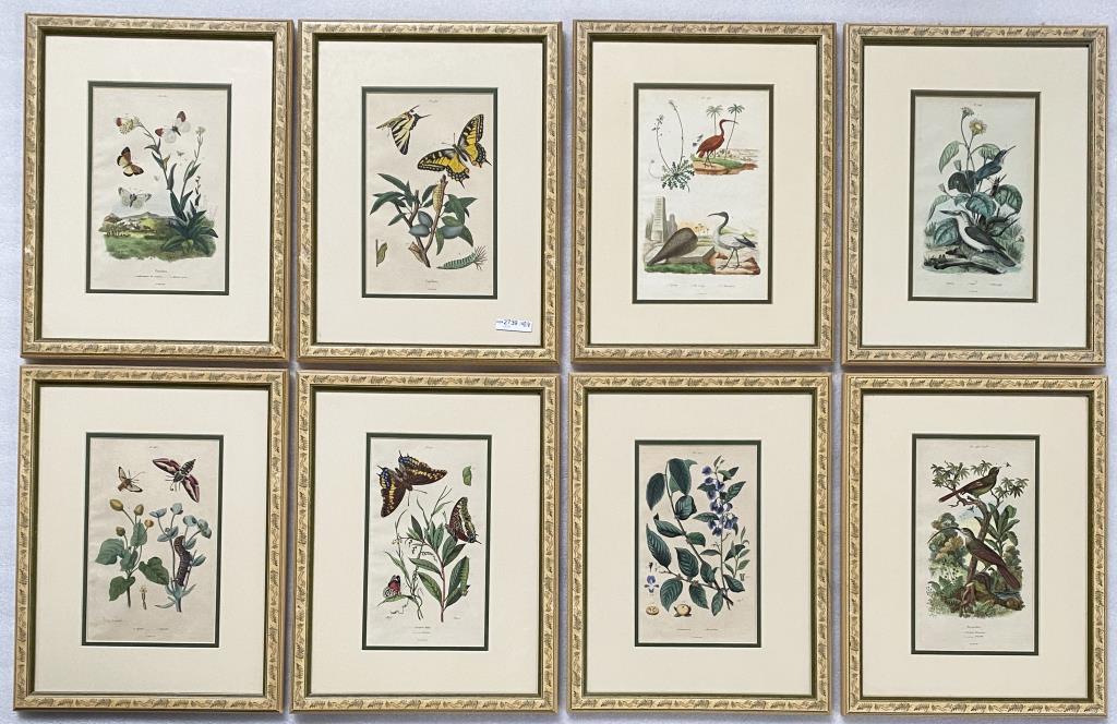 Group Eight Framed Guerin-Meneville Engravings (1 of 5)