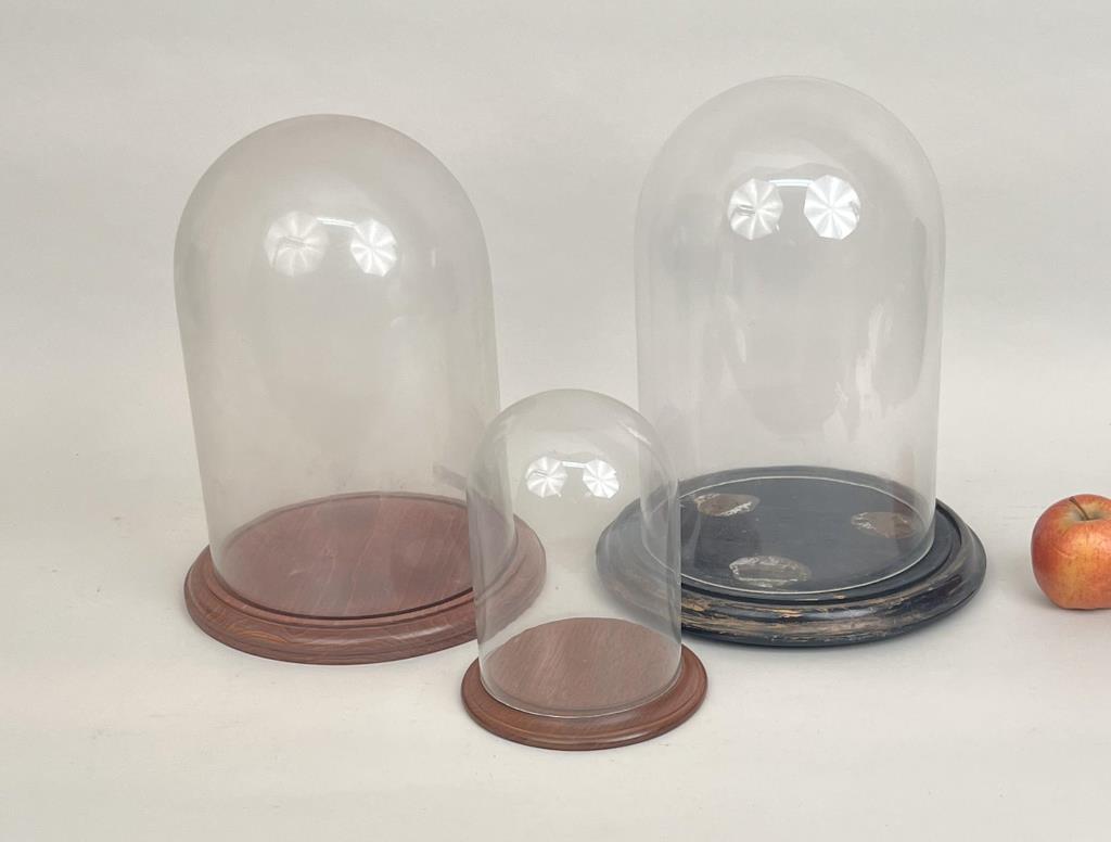 Group Three Blown Glass Domes/Wood Bases (1 of 3)