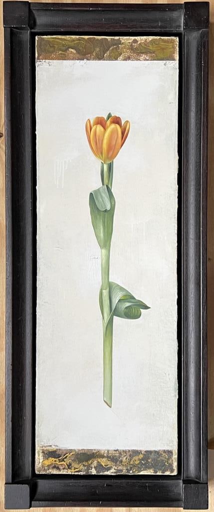 Baker, O/C Botanical 1998 (1 of 5)