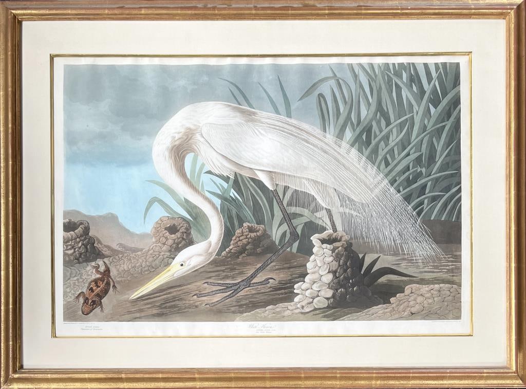 Bowen, After Audubon, Colored Litho, White Heron (1 of 7)