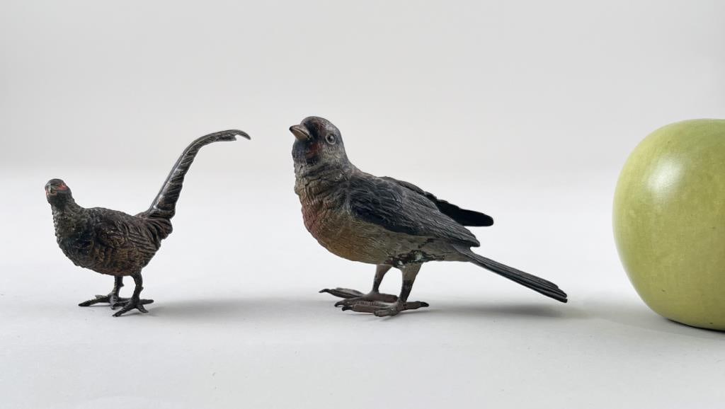 Two Vienna Cold Painted Bronze Birds (1 of 8)