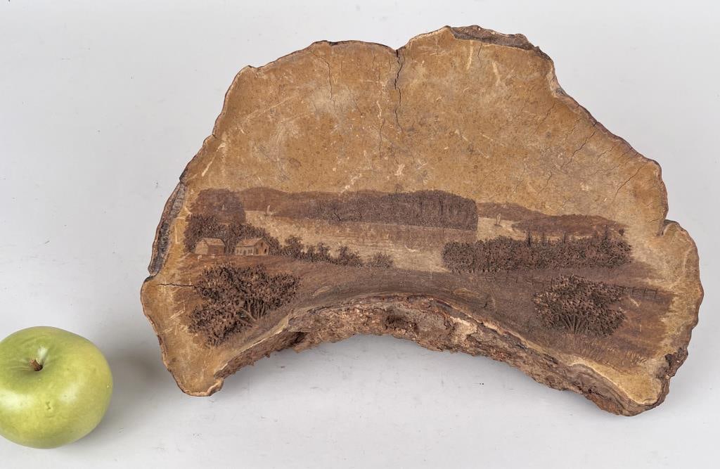 Harris, Dated 1890 Carved Passamaquoddy Bay Conk (1 of 6)